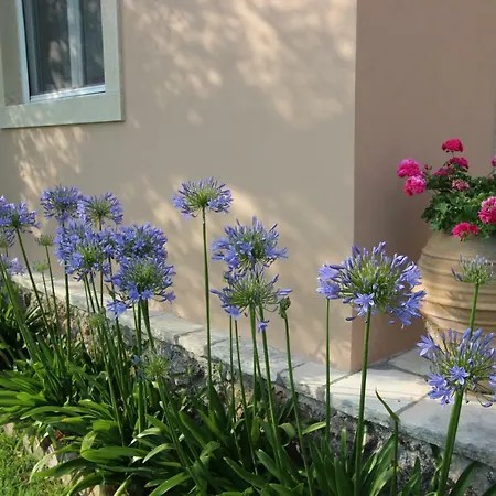 Stone Rose Вилла
