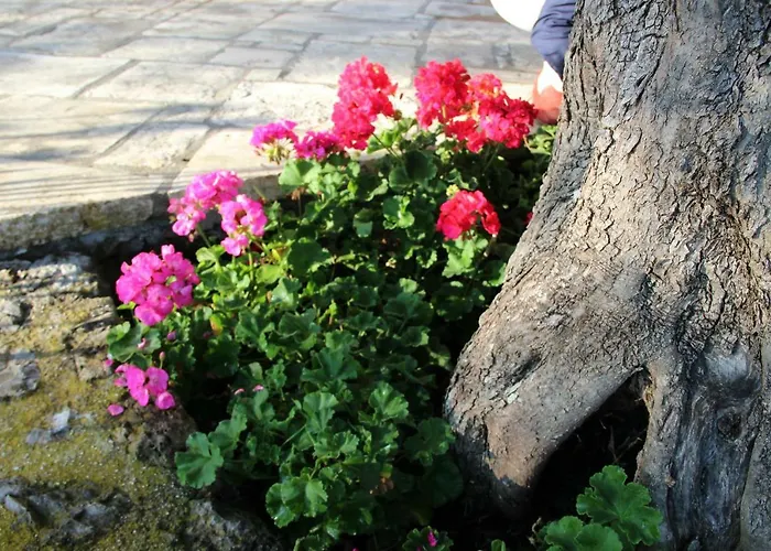Stone Rose Вилла