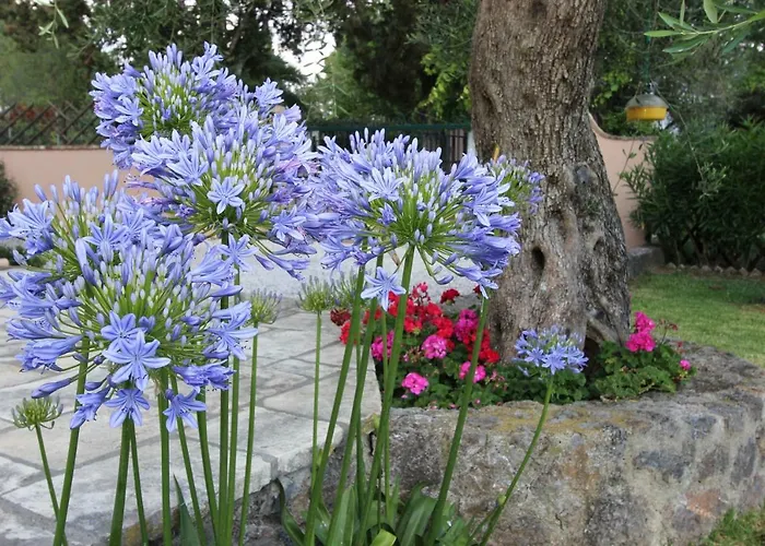 Stone Rose Вилла Agios Ioannis (Corfu)