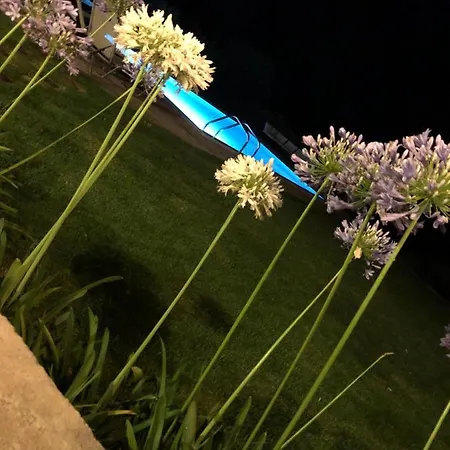 Вилла Stone Rose *